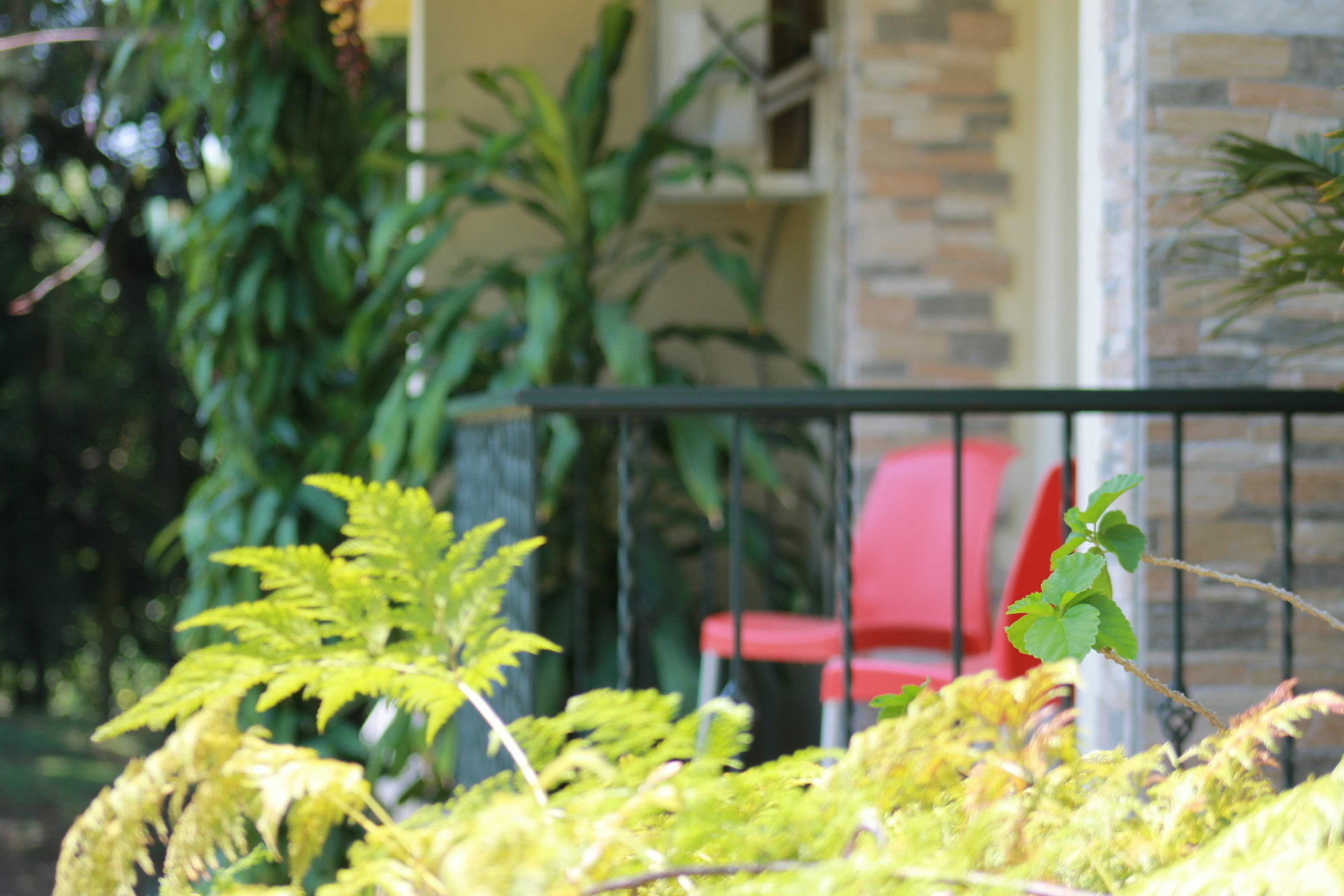 Hotel Campestre Santa Monica Pance Cali Exterior foto